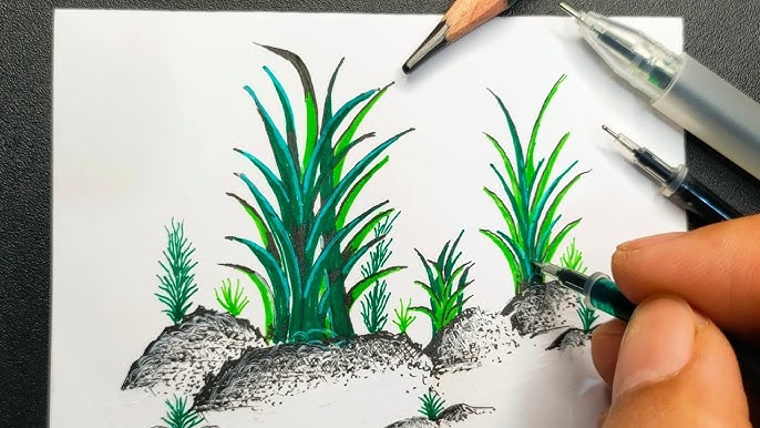 Belajar Menggambar Botanical Illustration dengan Pena dan Spidol